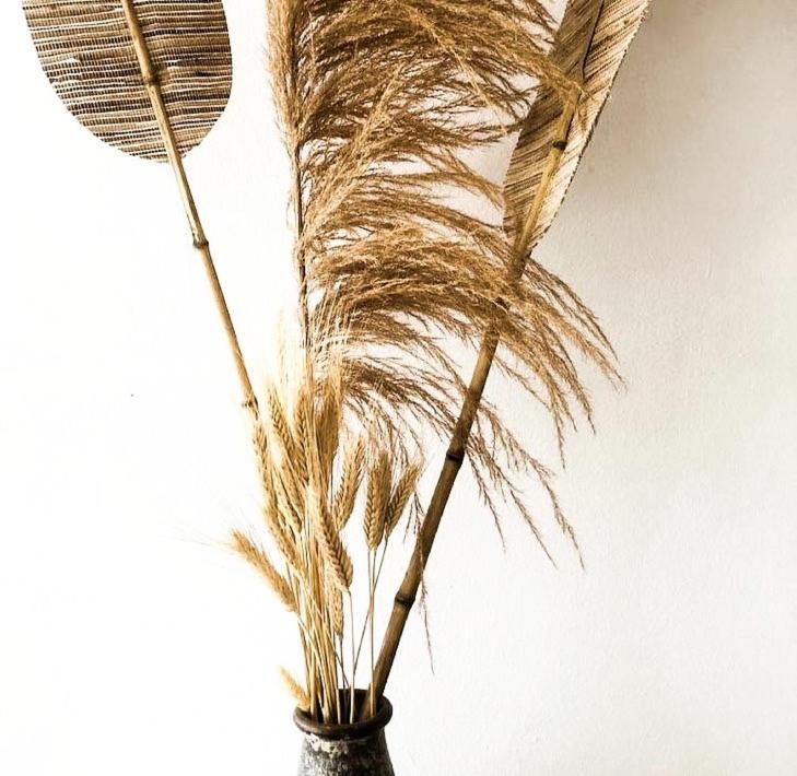 Aeolos Bay Tínos المظهر الخارجي الصورة